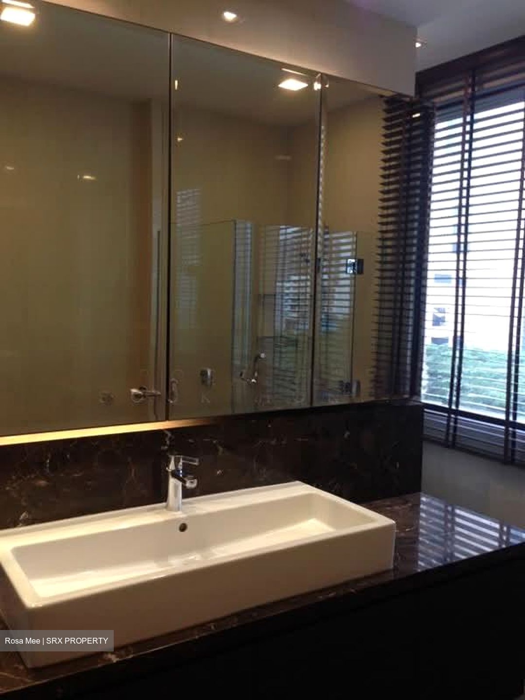 Four Seasons Park (D10), Condominium #565061641